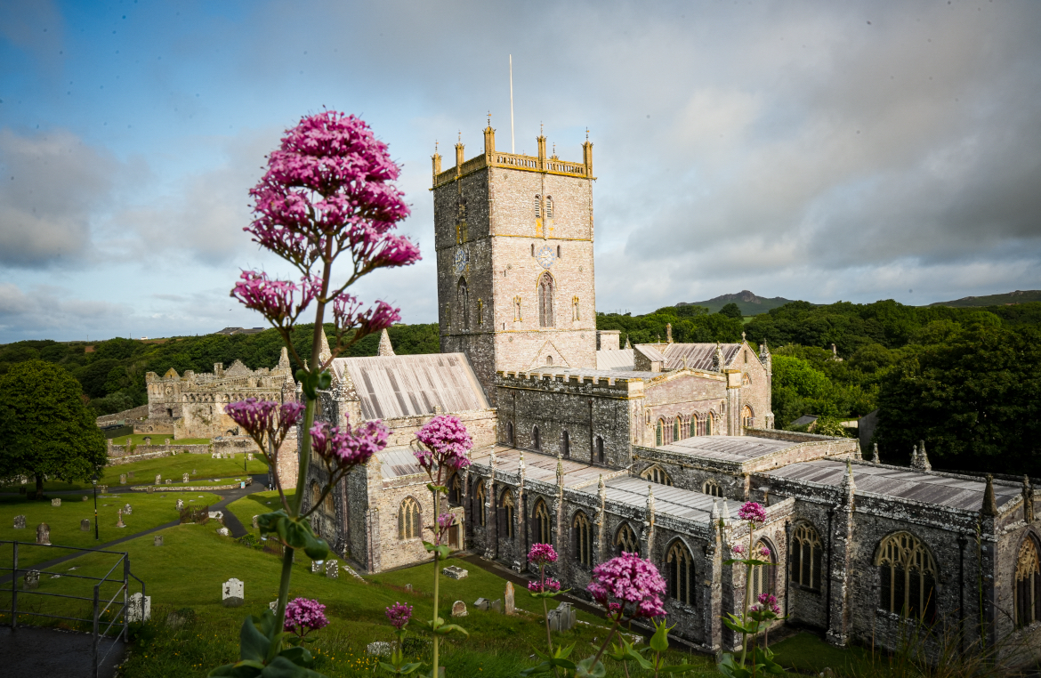 Nature and landscape photography