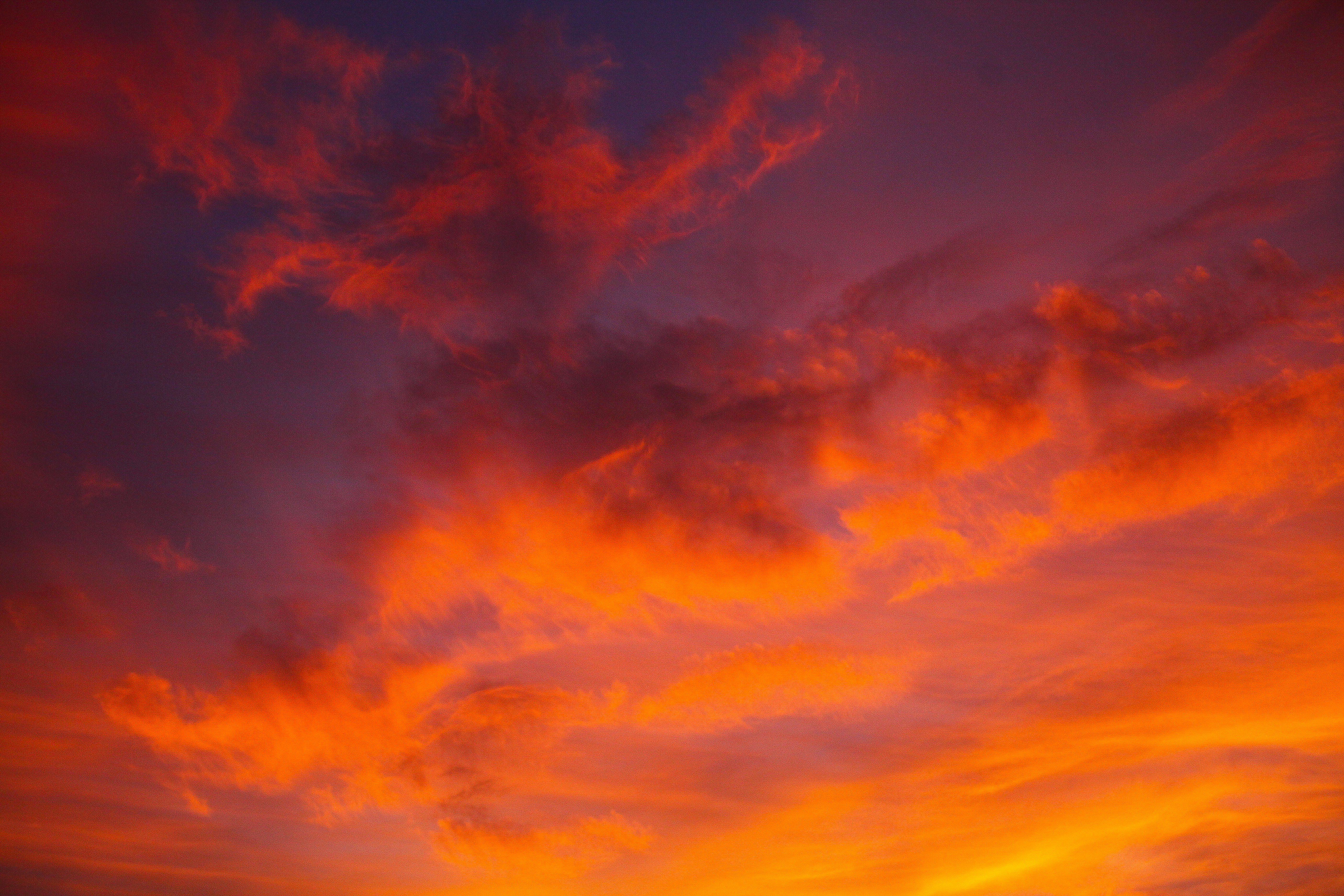 Nature and landscape photography