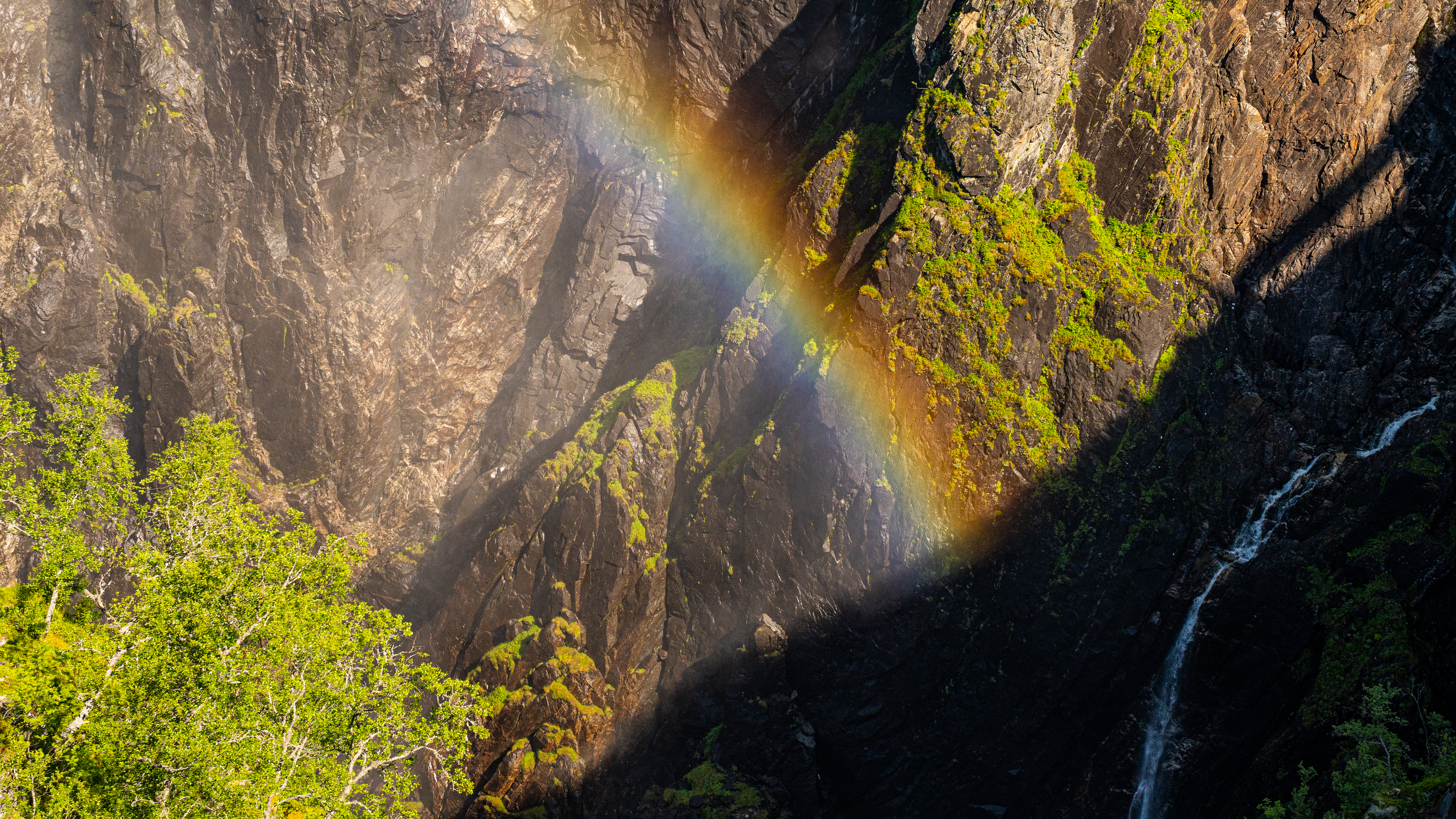 Nature and landscape photography